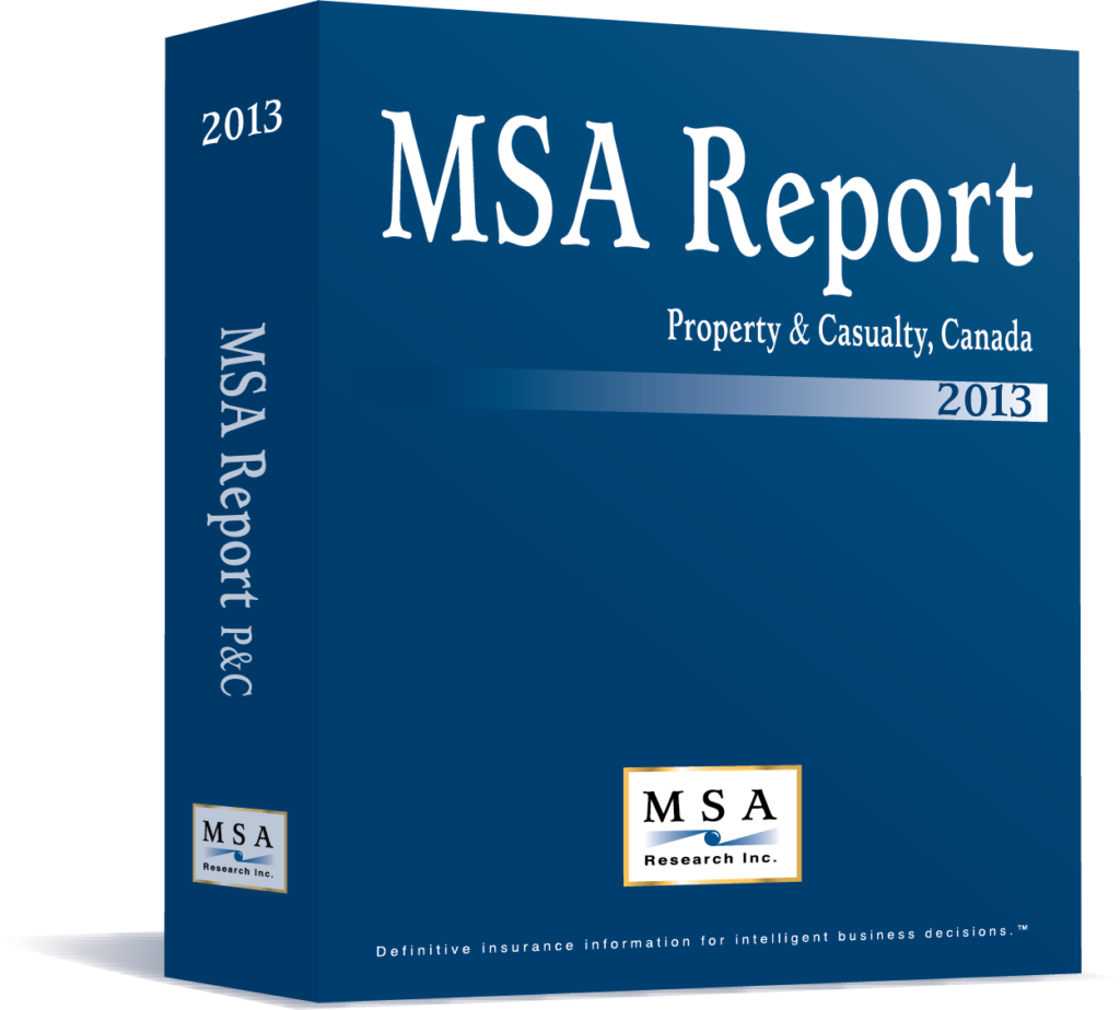 2013-msa-report